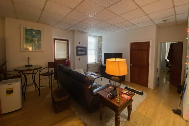 living room - Available 7/1/25 stunning one bedroom, center of town, gleaming hardwood floors Apartments
