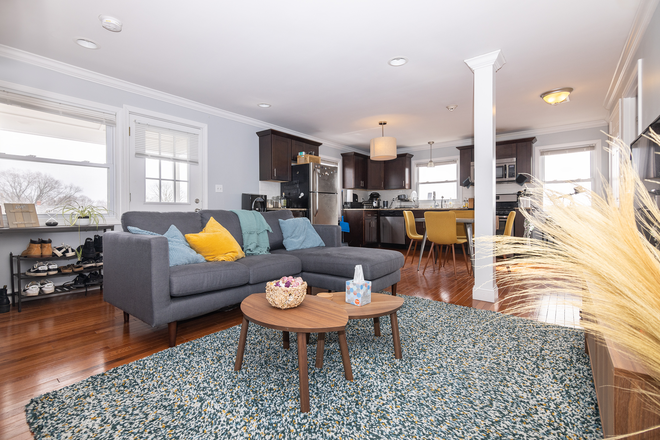 living room - Short term rental 3 bed 1 bath walk to campus Apartments