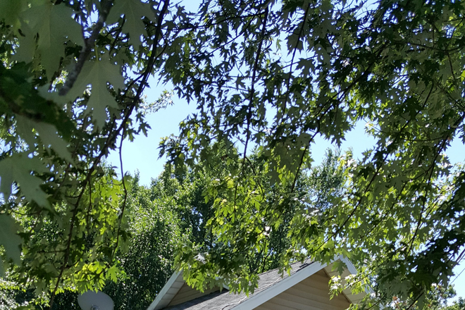 Exterior - Location, Location, Location