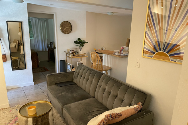 Living area - Tranquil 1 bedroom - walk to cafes - easy bus to campus (utilities included) Apartments