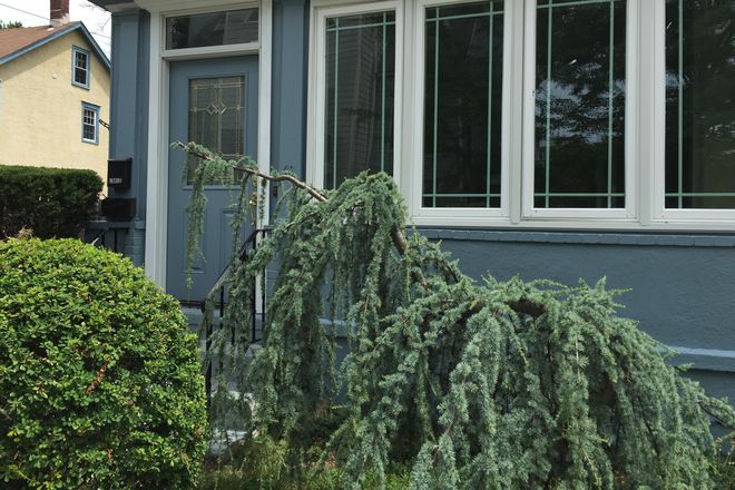 Entrance - Renovated 3BR house-43 Humbert St-Princeton
