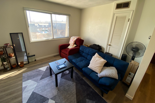 Living room - Renovated, affordable apartment with central HVAC, close to the university campus and the hospital.