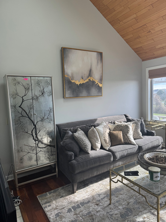 Living room - Townhouse close to campus, restaurants, beaches, etc