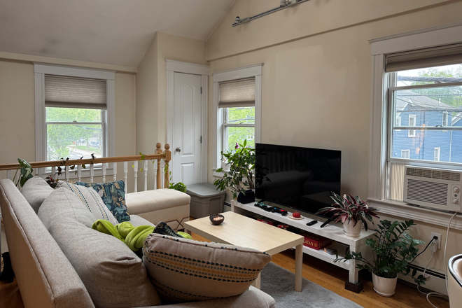  - Apartment near CfA/Harvard Law