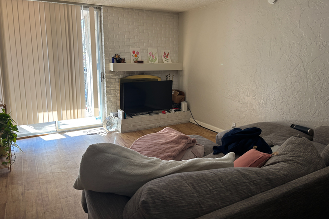 main area - One Bedroom Spring or Spring & Summer Sublet!! Great location. Please email/text for more details