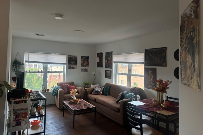 living room with kitchen and washer/dryer not pictured - South Commons 1 Apartment