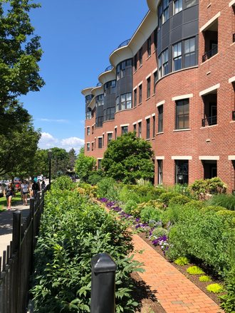 Street View - LOCATION!!  BEAUTIFUL PROPERTY - LAKE VIEW Condo