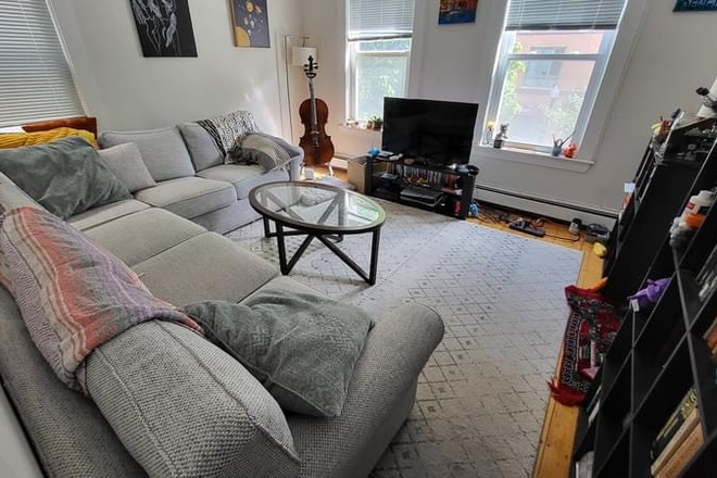 Living room - 2 Rooms Available – $1,275/mo – in 3BR Near MIT (15min Walk) – Cambridge Apartments