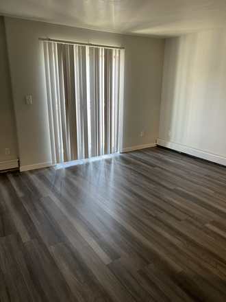 Y - 923 E College Steet - Walk to Campus Apartments