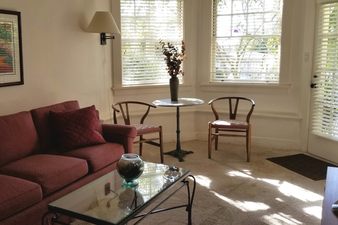 Sunny Livving Room - Furnished/Utilities Included - 1 Bedroom 1 Bathroom  apt. - 1 Block to Campus