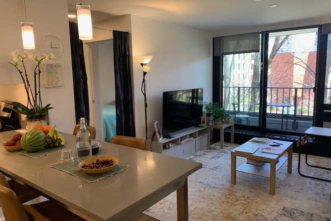 Living Room - Luxury Furnished 3BD Apartment on Harvard Business School Campus