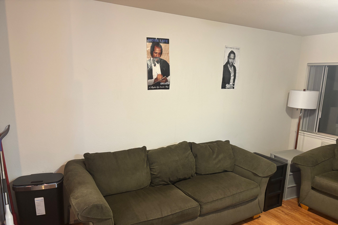 couch in large living room - Beautiful sublet on the Hill! Private Bath and air conditioner in the room! Apartments