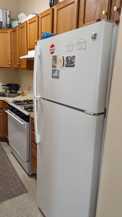 Kitchen - Master bedroom in 1B1B in Puffton Village Fall 2026 Apartments
