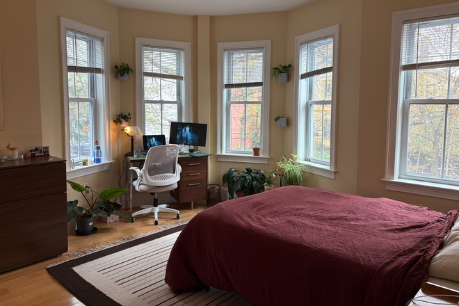 Bedroom - Sunny Porter Square Summer Sublease! Late May - Early July, close to T and Star Market Apartments