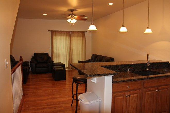 Open Concept Living Room and Kitchen - Beautiful Fully Furnished Apartment 2 blocks to Temple, newer construction building