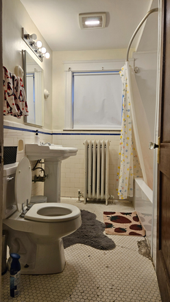 ... - COZY 3 BED, SHORT WALK TO CAMPUS Apartments