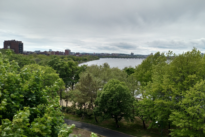 view from roof deck, Back Bay - Excellent location! Short walk to Emerson&Suffolk, MIT not far; short ride on Red Line to Harvard. Apartments