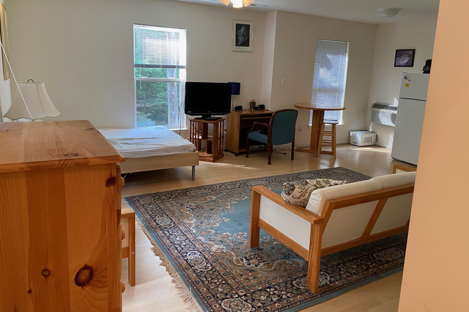 Apartment - Brightly Lit Studio Apartment, All Utilities Included