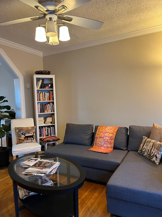 Living/TV Room - East-Side condo share with one other person; available now