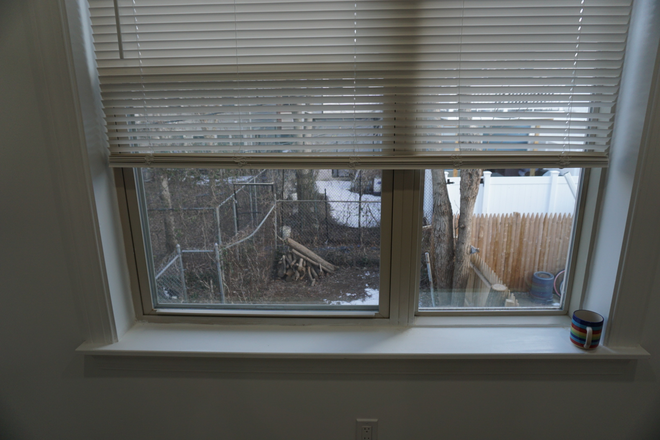 Backyard - "Entire House for Rent – Walk to Temple University, Student-Friendly!"