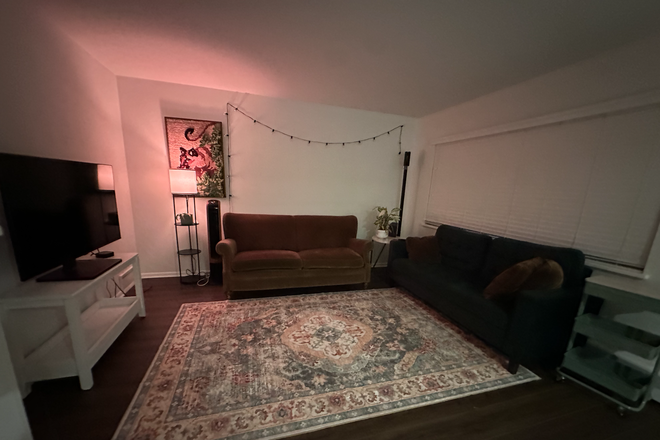 Living Room - FIRST AND LAST MONTH PAID FOR -- Subleasing my room in a 2 bed 1 bath apartment