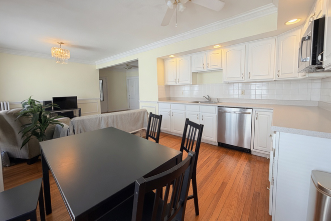 . - Renovated bright beautiful pet friendly apartment by the train