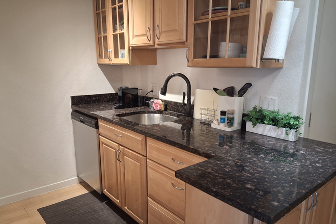 Kitchen, granite countertops, new appliances - Spacious 2 bedroom condo between East and Main campus