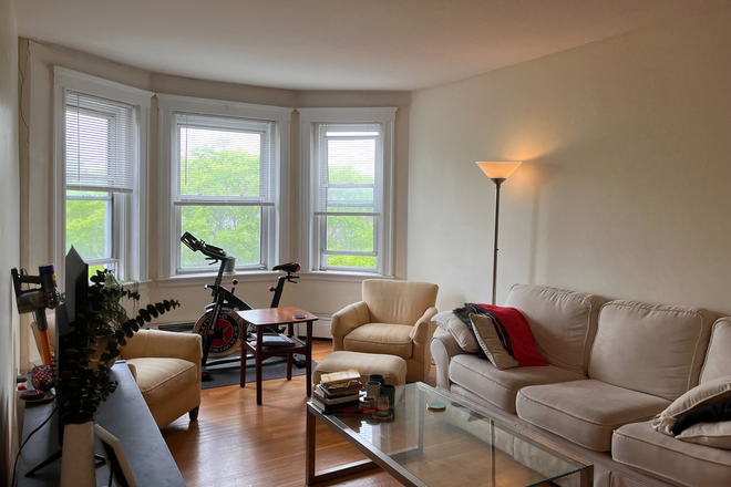 Living room - 2 bedroom in Central Square