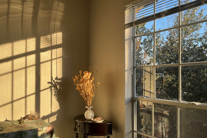 bedroom with sunshine - The Boulevard Apartments