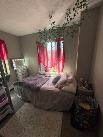 Bed - Harbor Point (all girl apartment)