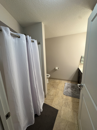 Bathroom (shared with one other) - Spring Semester Sublease, one bedroom available for sublease Apartments