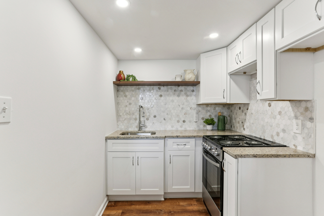 2nd Kitchen - lower level - Decatur 5 Bedroom Midcentury Modern- Renovated with Vintage touches House