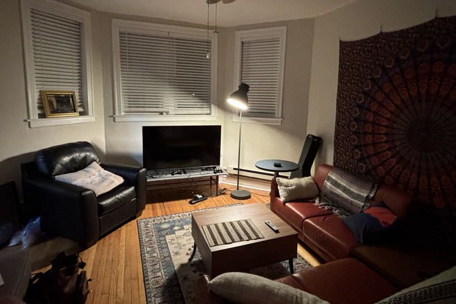 Living room - 2 Bed 1 Bath Garden Apartment in Wrigleyville / Lakeview Area