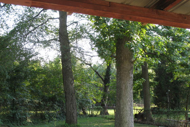 Backyard - 5015 Blackfoot Place: 5 bedroom, 3 bath house close to public transportation