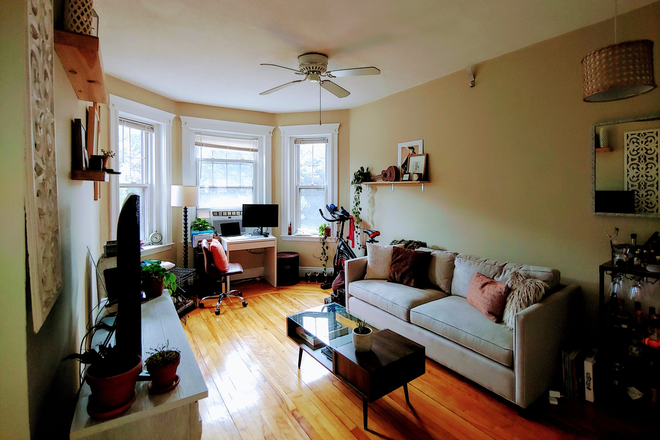 living room - Charming and sunny Chestnut Hill Ave 1 bed  for 9/1 - NO FEE! Apartments