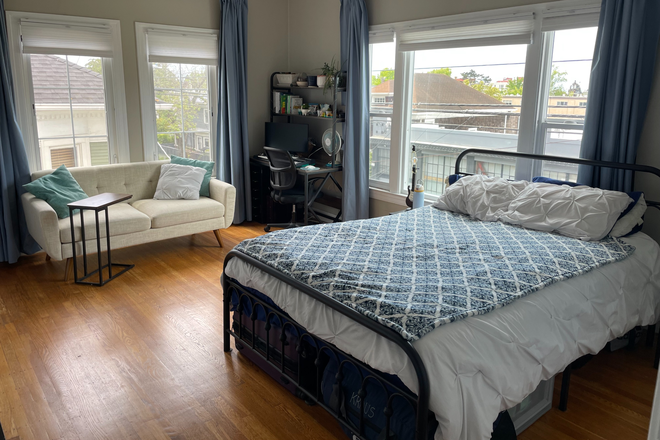 Bedroom/Living Room - Large, Sunny Studio with Separate Kitchen— Available 7/1 Apartments