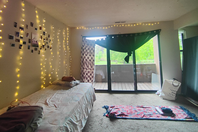 Fully partitioned space, comes with a bed and lamp and attached balcony with a view - Brandywine Apartments Summer Sublet