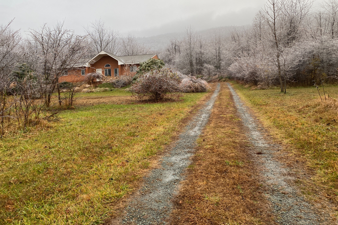 View from the road - Lovely quiet home in  Afton near vineyards and 27 minutes from UVA