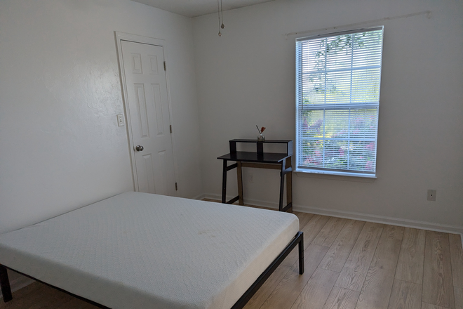 Master bedroom, walkin closet, ensuite bathroom.  Furniture not included. - 1340 Hancock Triplex