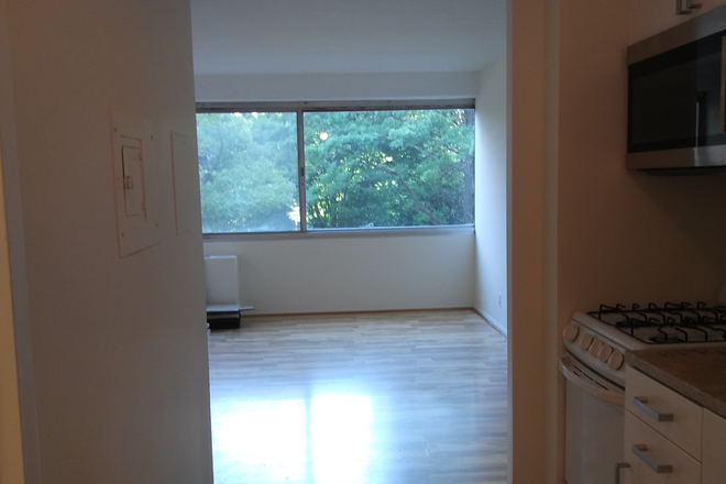 Room from entryway - Comfortable studio close to public transportation, shopping, restaurants and parks Condo