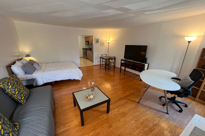 Living Space - FULLY FURNISHED STUDIO - ALL UTILITIES & INTERNET INCLUDED - MINUTES TO LONGWOOD MEDICAL AREA Condo