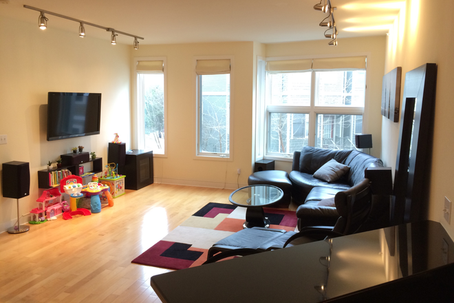 Living Room - Modern 2 bedroom Cambridge apartment