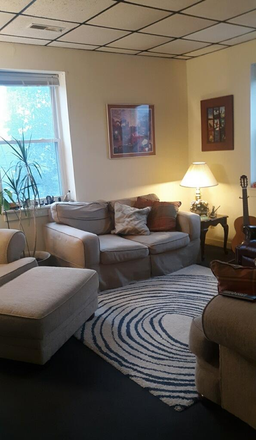 Apt 3 living room - 2 Bdrm Apt close to UVA and Downtown Mall