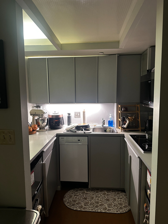 Kitchen - FURNISHED SUMMMER SUBLET 2 Bed 2 Bathroom Whole Apartment (Close to Law School and T-Stop!)