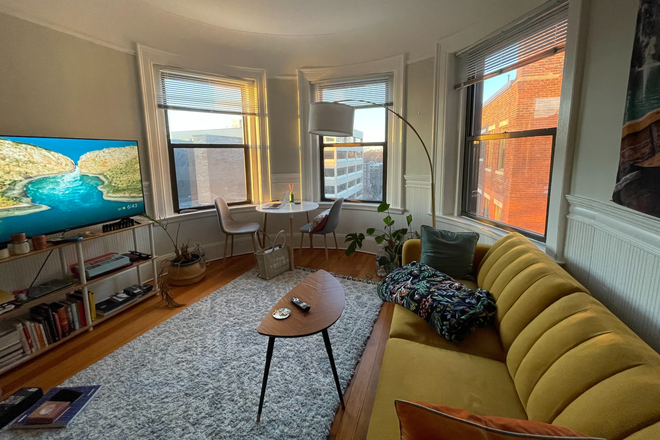 Living room - 1BR/1BA Cambridge Apartment 15 min walk from Harvard Sq