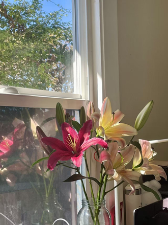 Bedroom - tranquil neighborhood, comes with a backyard, nice landlady