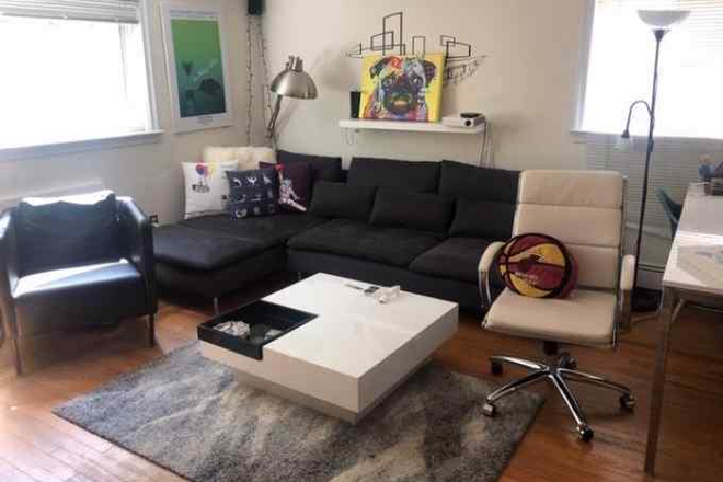 living - Great location! charming condo building, near Harvard sq, redline,