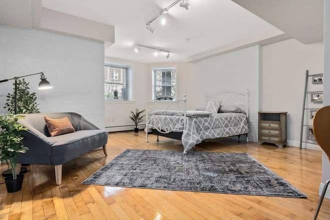 Living/sleeping area - Newly Renovated studio in the <3 of Porter Square, pre-war architecture, 10 minute walk to Harvard Apartments