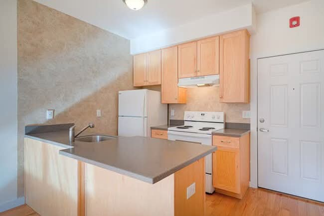 Kitchen - Apartment Close to Campus