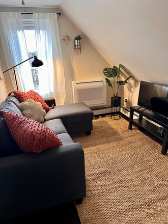 Living room - Academic 2025/26 Furnished 2 BR Apt- walk to beach & utilities incl.